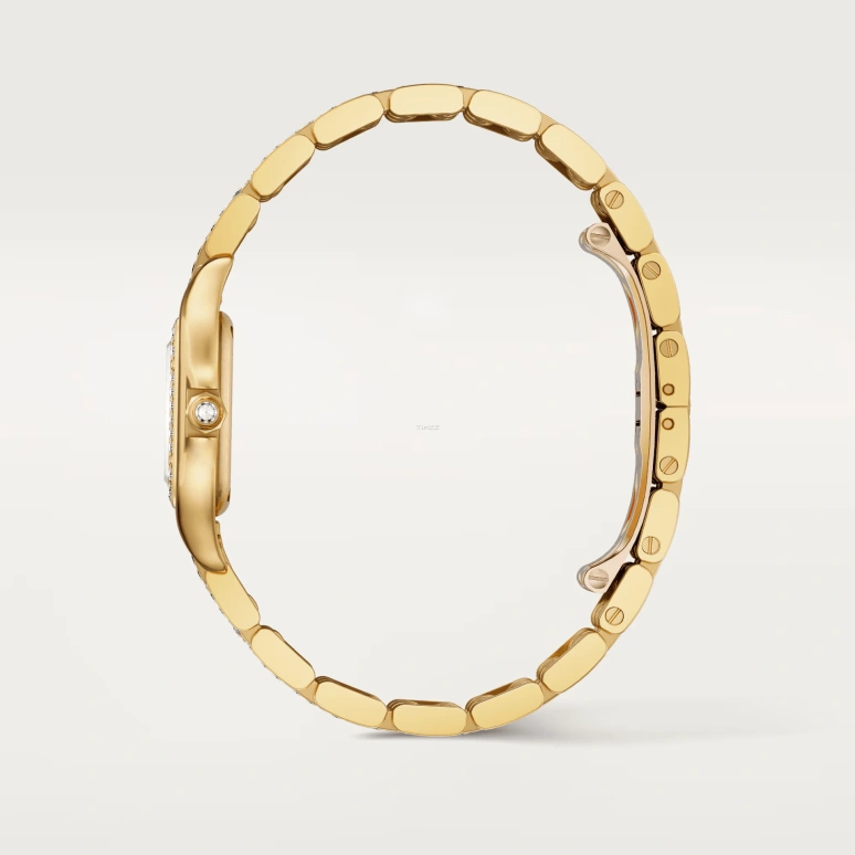 Cartier,Panthère de Cartier 30.30x22mm,30.30x22mm,Yellow Gold,Silver,Quartz,Glass,Square,WJPN0059