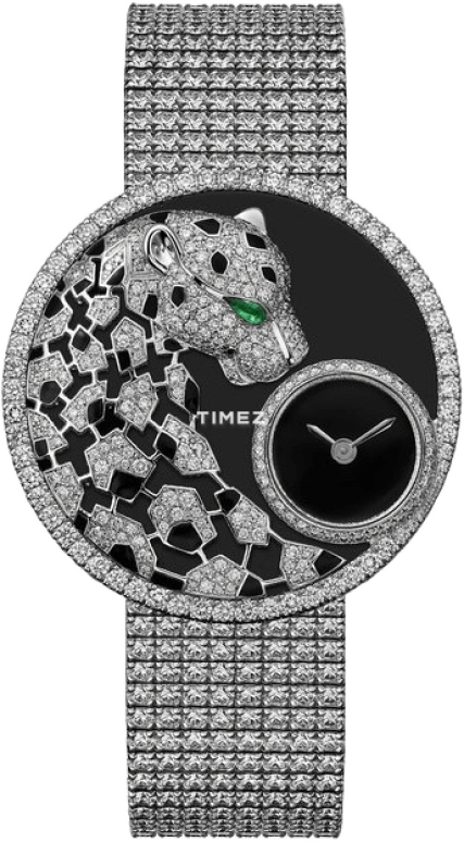 Cartier High Jewelry Watches HPI01295