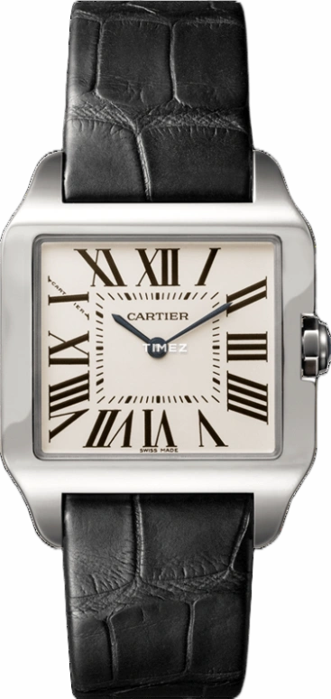 Cartier Santos de Cartier W2009451