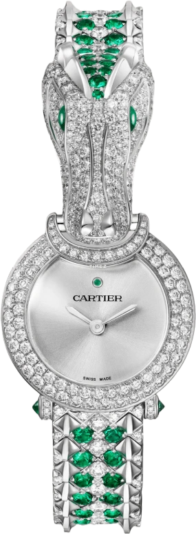 Cartier High Jewelry Watches HPI01656