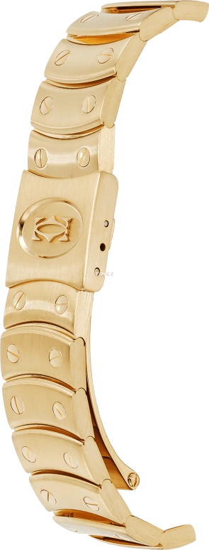Cartier,Santos de Cartier 29mm,29mm,Yellow Gold,Silver,Blue,Quartz,Chronograph,Day,Rattrapante,W15078G1