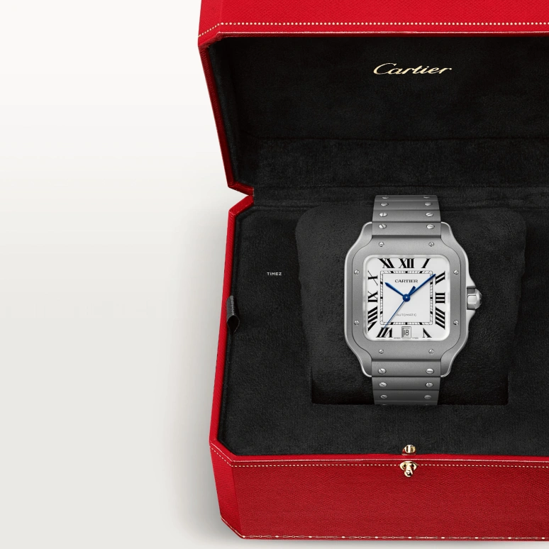 Cartier,Santos de Cartier 39.80mm,39.80mm,Titanium,Silver,Automatic,Day,42hours,WSSA0089