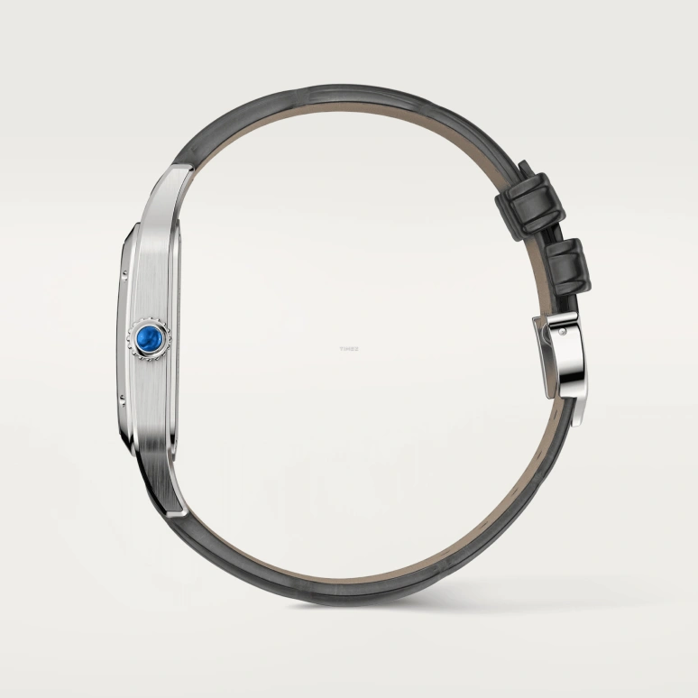 Cartier,Santos de Cartier 31x43.50mm,31x43.50mm,Stainless Steel,Silver,Automatic,44hours,In-house Caliber,WHSA0032