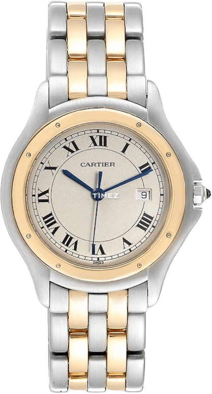 Cartier Other W35006B6