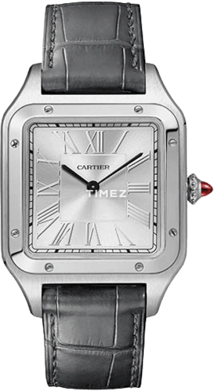 Cartier Santos de Cartier WGSA0034