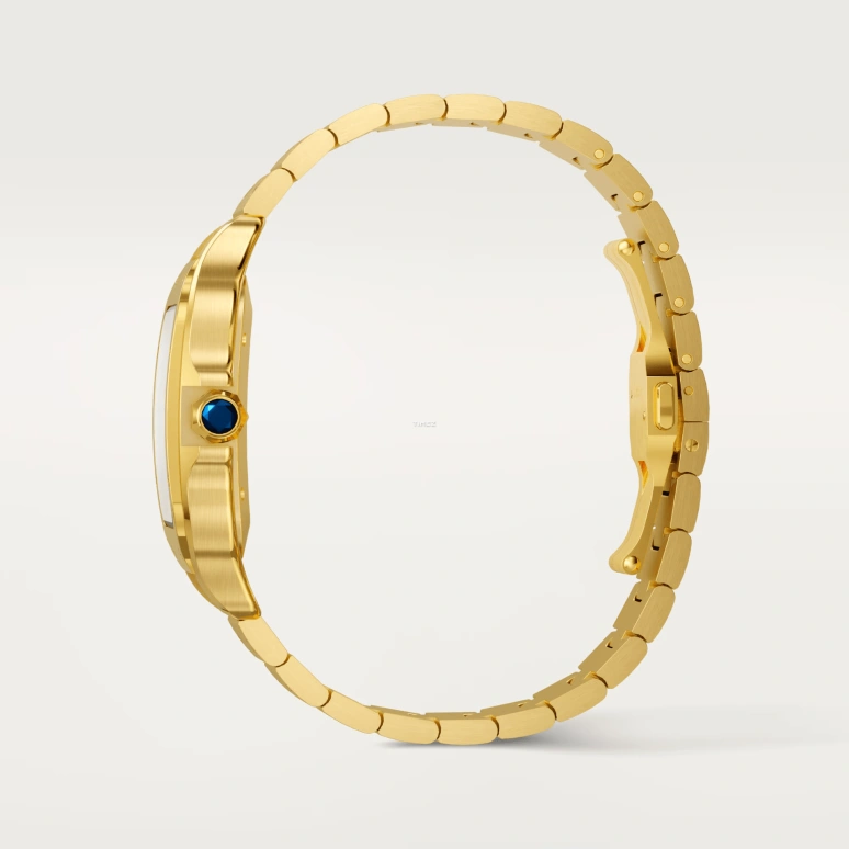 Cartier,Santos de Cartier 39.80mm,39.80mm,Yellow Gold,Brown,Gradient,Automatic,Day,Sapphire,Crystal Glass,WGSA0095
