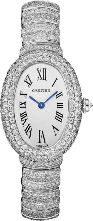 Cartier Baignoire WJBA0021