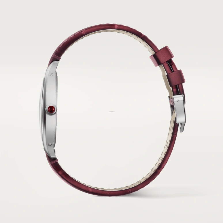 Cartier,Tortue 41.40x32.90mm,41.40x32.90mm,Platinum,Silver White,Handwound,36hours,In-house Caliber,WGTO0008