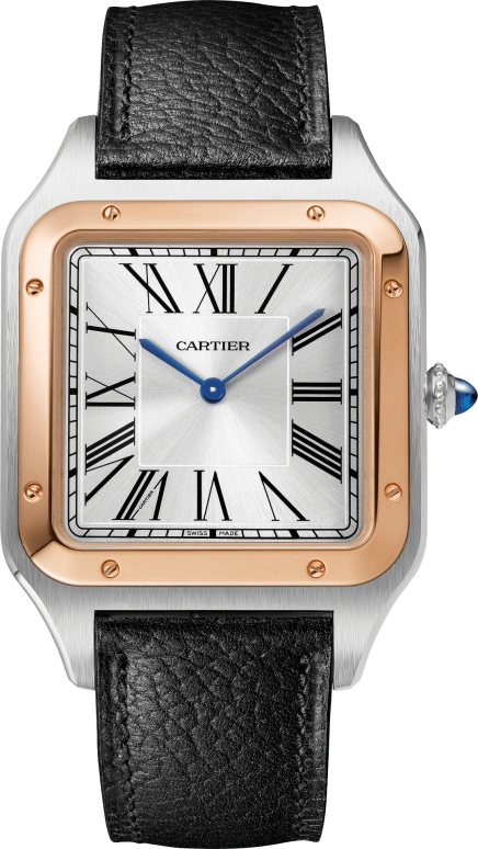 Cartier Santos de Cartier W2SA0021