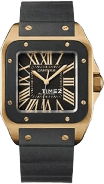 Cartier Santos de Cartier W20124U2