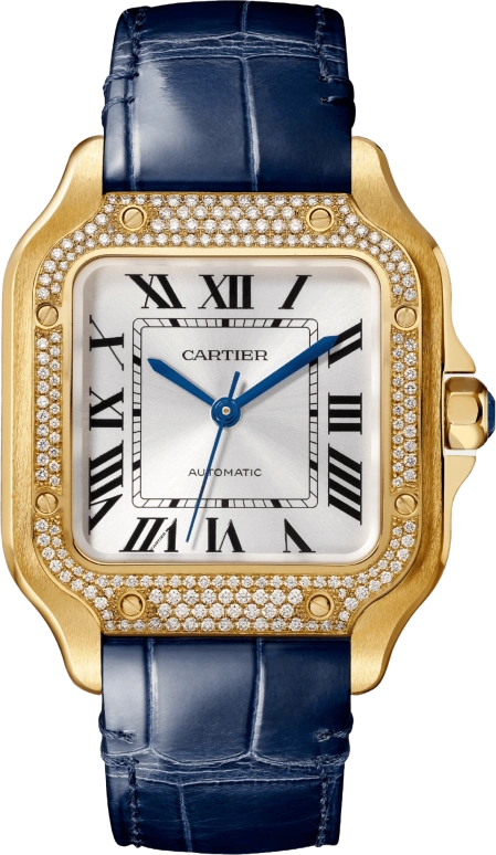 Cartier Santos de Cartier WJSA0013