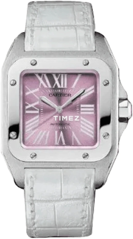 Cartier Santos de Cartier W20133X8