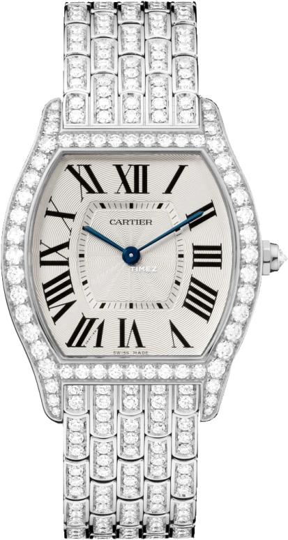 Cartier Tortue HPI00779