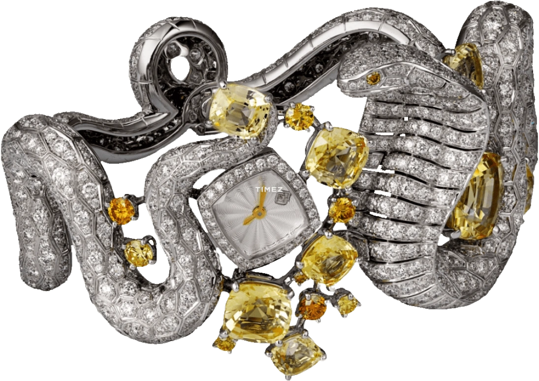 Cartier High Jewelry Watches HPI00731
