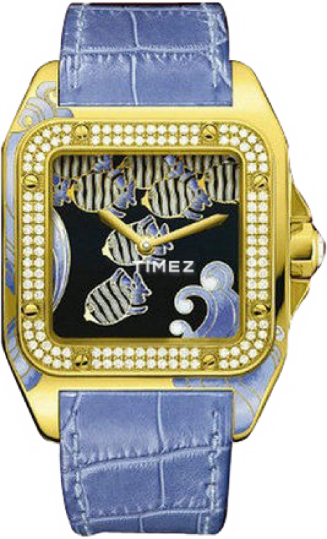 Cartier Santos de Cartier WM505010