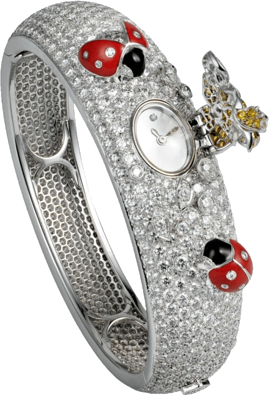 Cartier High Jewelry Watches HPI00538