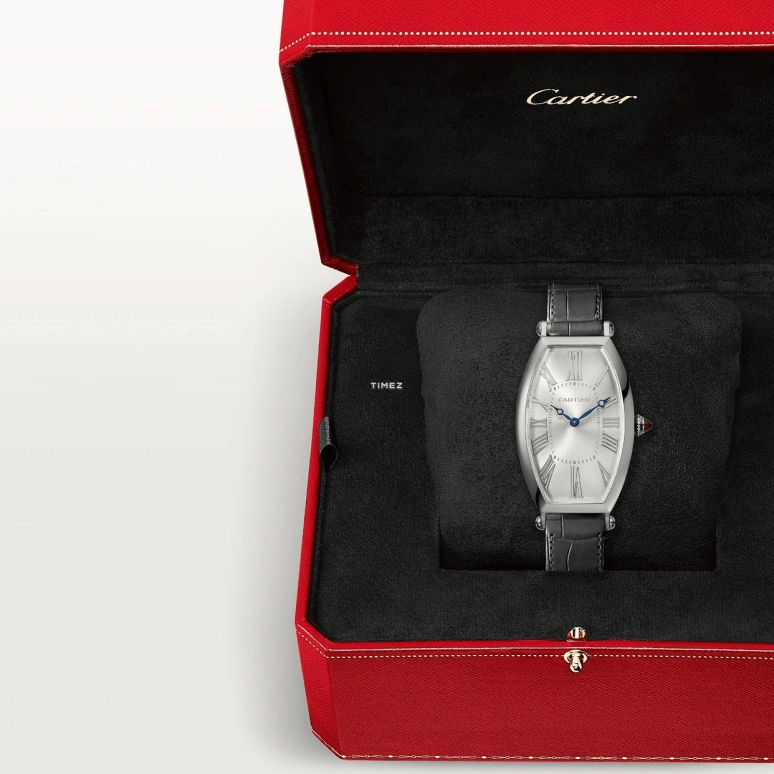 Cartier,Tonneau 46.10x26.20mm,46.10x26.20mm,Platinum,Silver,Handwound,38hours,In-house Caliber,WGTN0005