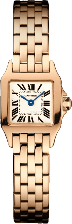 Cartier Santos de Cartier W25077X9