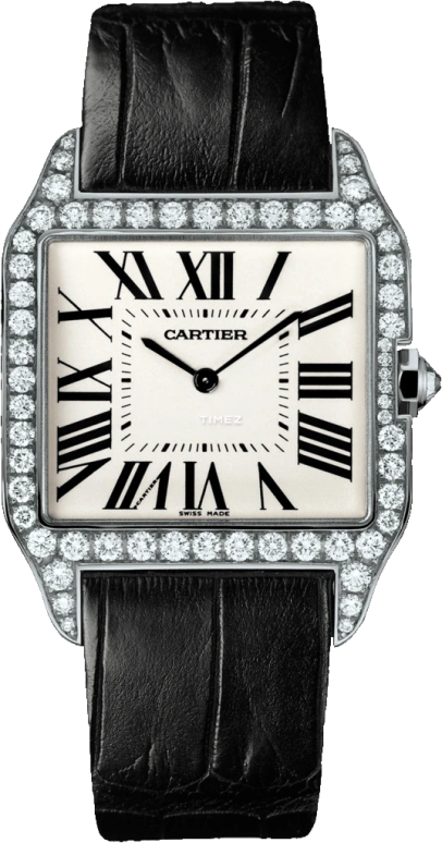 Cartier Santos de Cartier WH100651