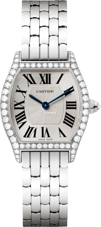 Cartier Tortue WA501011