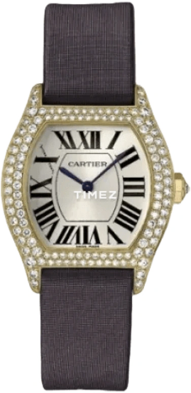 Cartier Tortue WA504831