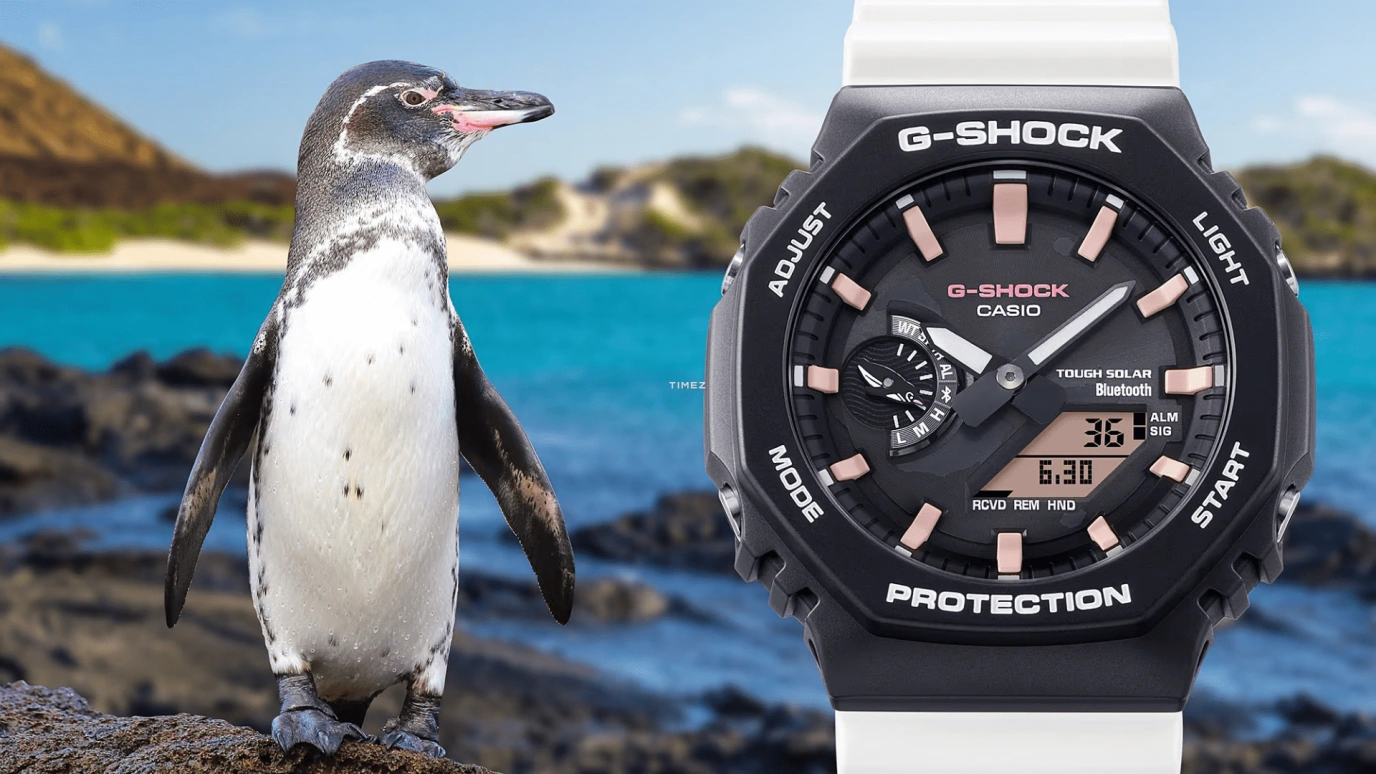 Casio,G-SHOCK 45.40mm,45.40mm,Carbon,Bio-sourced,Resin,Black,Quartz,Countdown,Chronograph,Month,Date,Hardlex,Octagon,GAB2100CD1A7