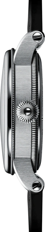 Chronoswiss,Flying 41mm,41mm,Stainless Steel,Silver,Automatic,Day,Day / Night Indication,CH,CH-8763.1-SISI2