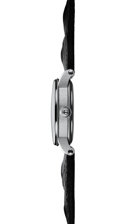 Chronoswiss,Open Gear 41mm,41mm,Stainless Steel,Yellow,Automatic,42hours,In-house Caliber,CH,CH-8753-YEBK