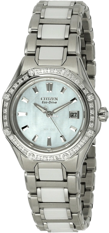 Citizen,Quartz 29mm,29mm,Stainless Steel,Quartz,EW2190,EW2190-59D