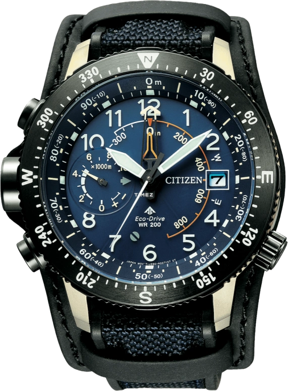 Citizen Eco-Drive BN4055-19L