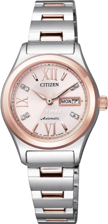 Citizen Other PD7166-54W