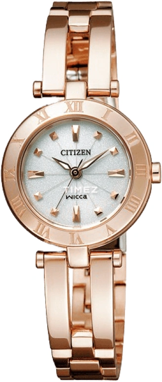 Citizen Eco-Drive EP5843-54A