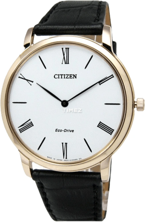 Citizen Eco-Drive AR1113-12B