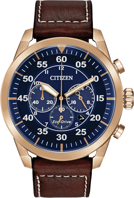 Citizen Other CA4213-18L