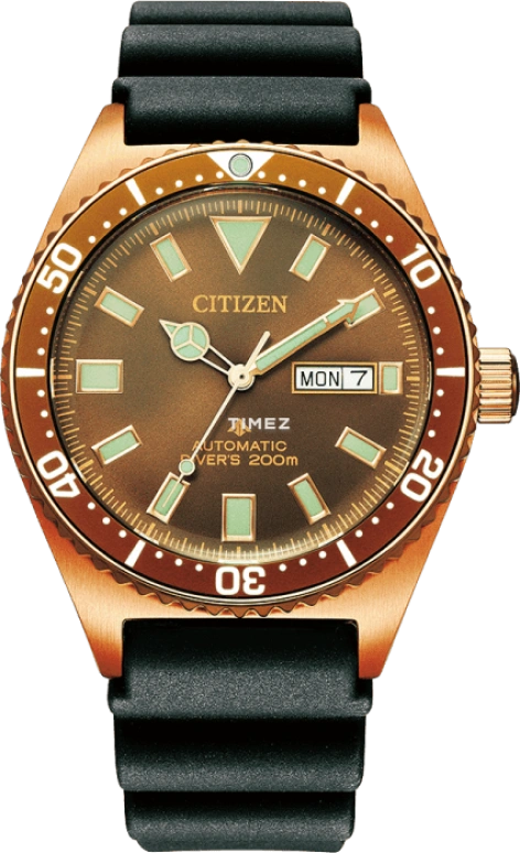 Citizen ProMaster NY0125-08W