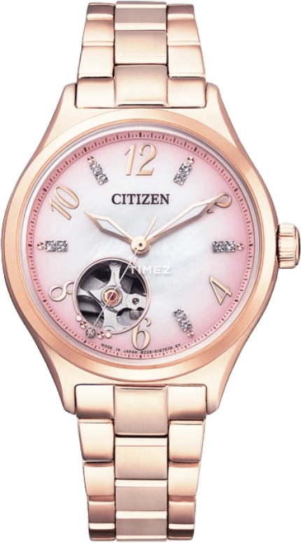 Citizen Other PC1005-87X