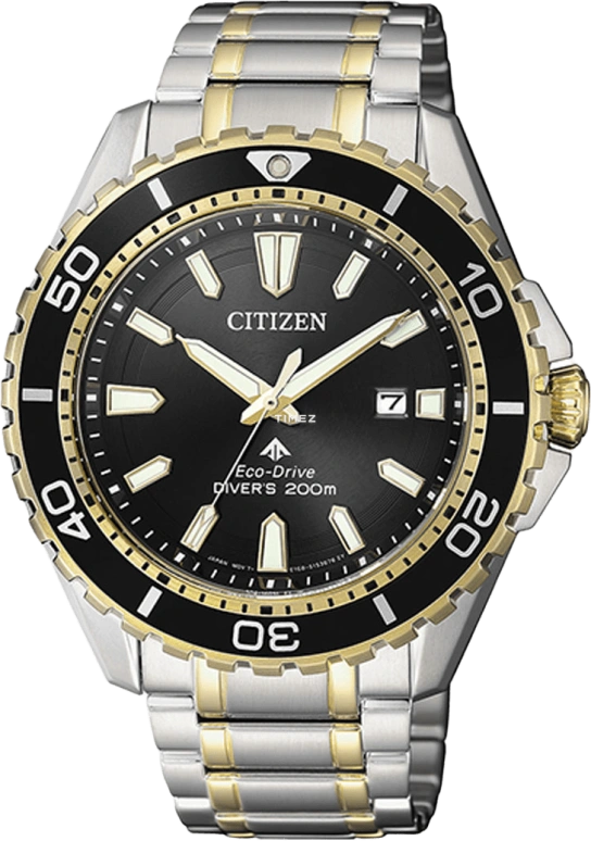 Citizen,Other 44.30mm,44.30mm,Stainless Steel,Bi-color,Black,Quartz,BN0194,BN0194-57E