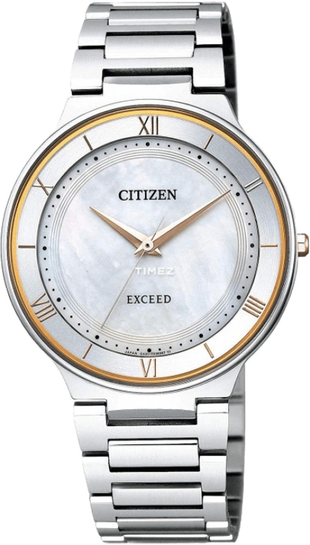 Citizen Quartz AR0080-58P