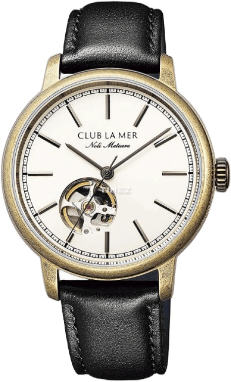 Citizen Other BJ7-077-30