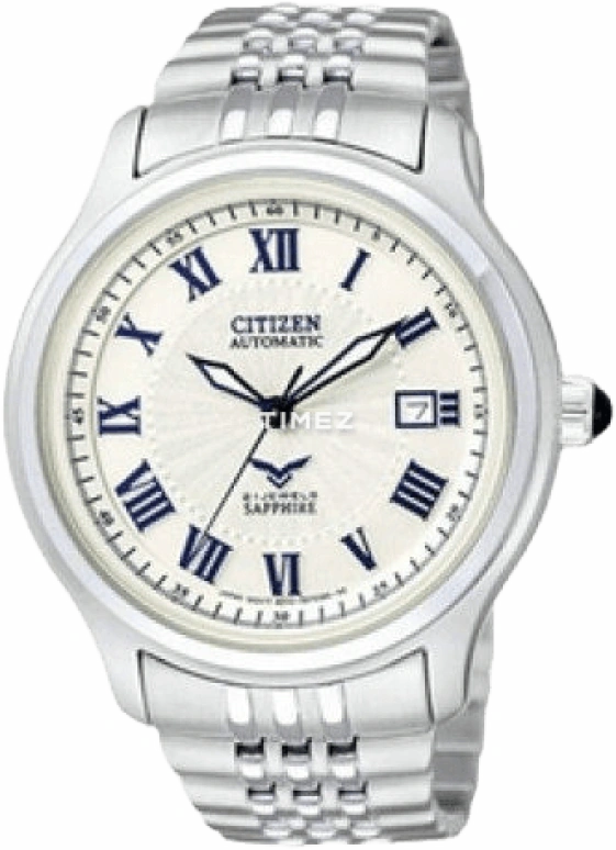 Citizen Other NJ2166-55B
