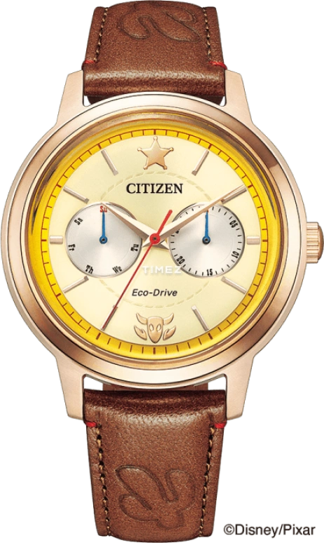 Citizen,Quartz 41mm,41mm,Stainless Steel,Gold,Quartz,BU4042,BU4042-09A