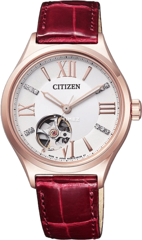 Citizen Other PC1002-00A