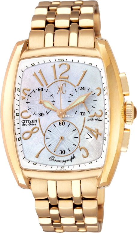 Citizen Eco-Drive FA2063-51D