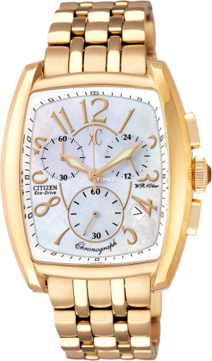 Citizen Eco-Drive FA2063-51D