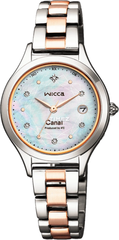 Citizen,Quartz 28mm,28mm,Stainless Steel,Quartz,KS1,KS1-236-91
