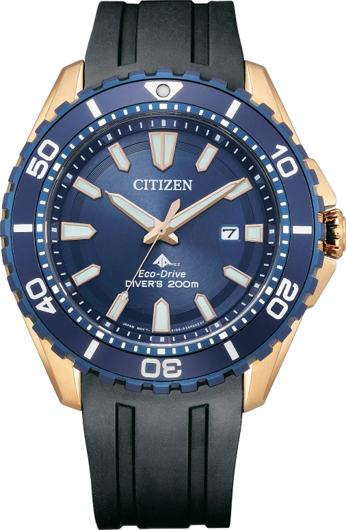 Citizen Eco-Drive BN0196-01L