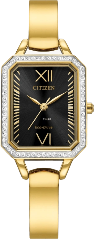 Citizen Other EM0982-54E