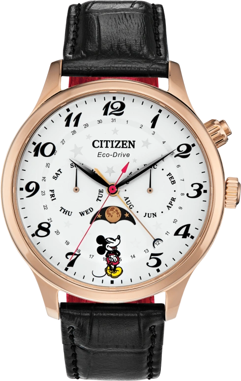 Citizen Other AP1053-15W