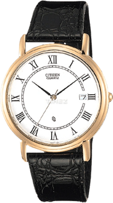 Citizen Quartz BK0172-32B