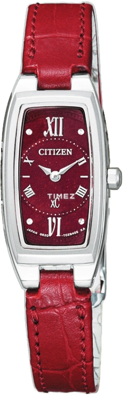 Citizen Eco-Drive EG2870-07W